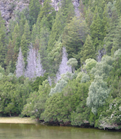 Landscape photo